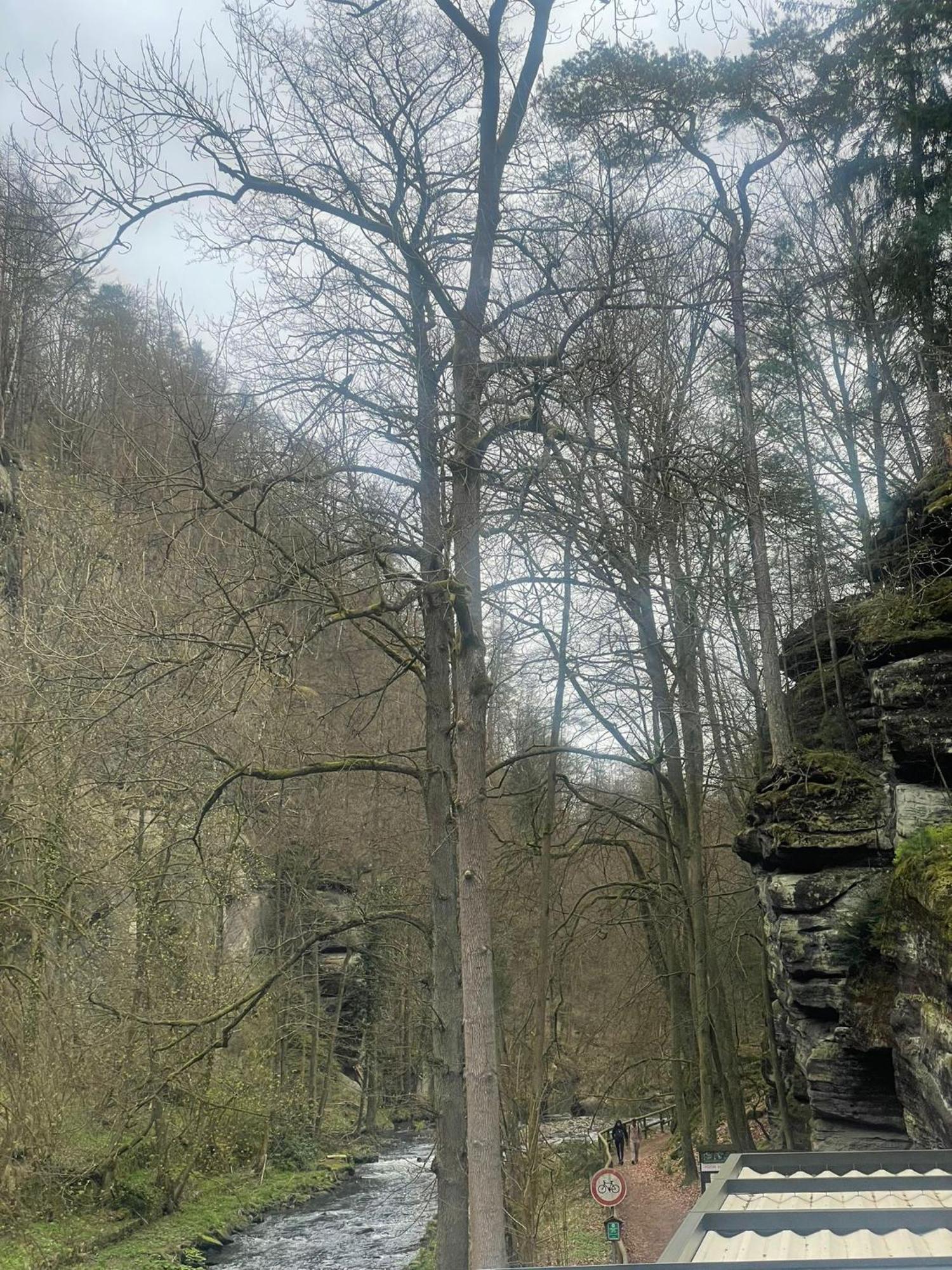 Pension Soutesky Hřensko Buitenkant foto
